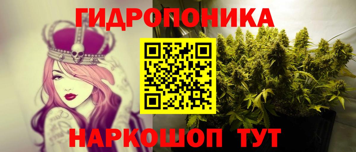 Бошки Шишки ГИДРОПОН  Шишки марихуана план  Канабис Amnesia  Кунгур  Каннабис Amnesia  Вход с VPN 